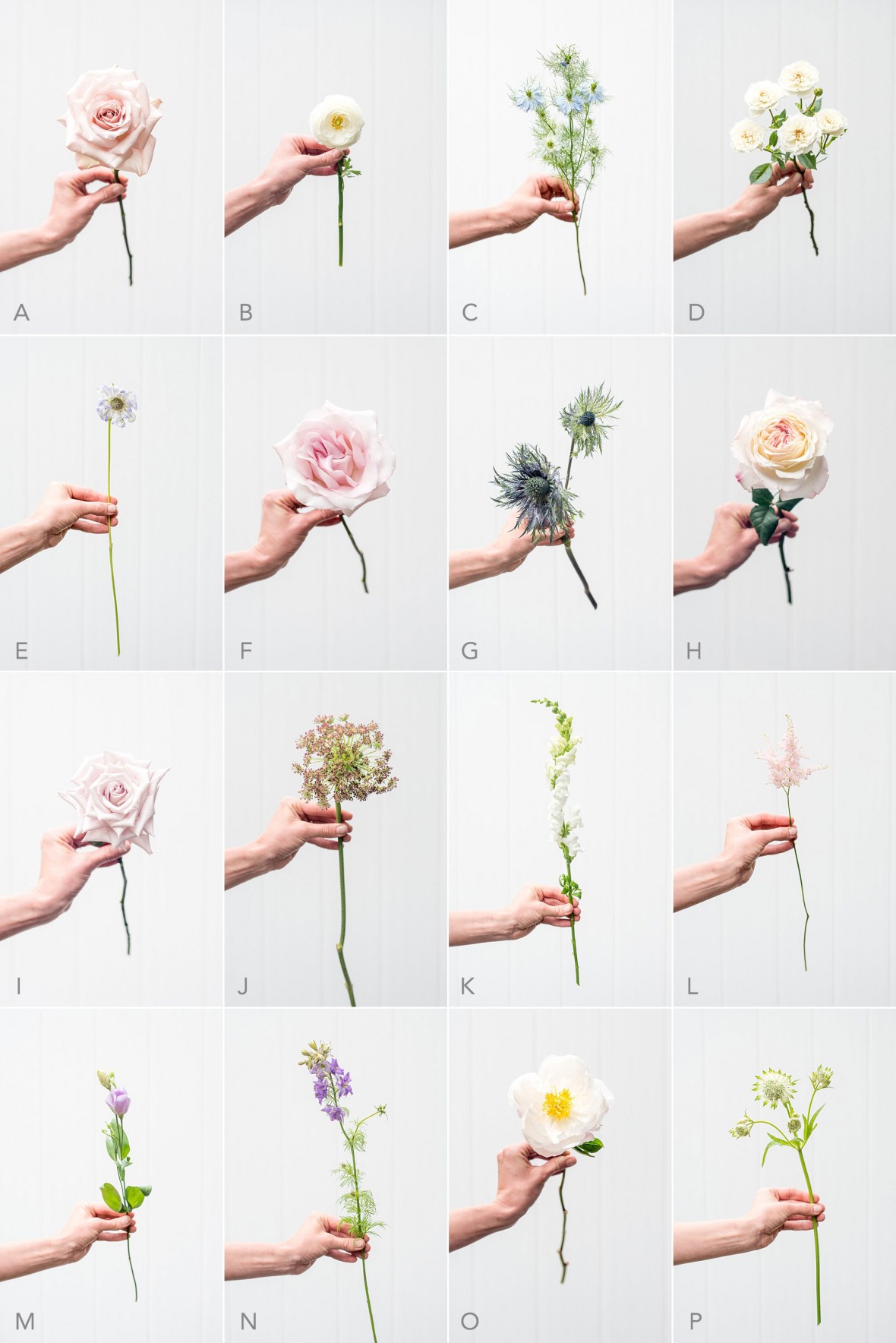 DIY Wedding Bouquets - Meristem Floral - Mikkel Paige Photography 