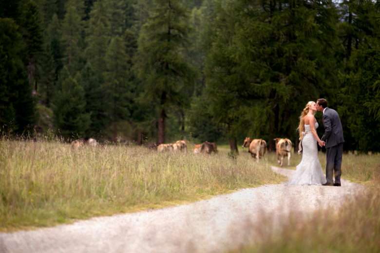 bride and groom kissing on path in field amid cattle
