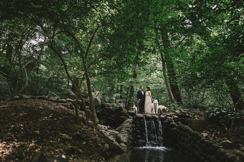 A couple in wedding attire stands over a small waterfall in a green forest, holding their three large white dogs on leashes